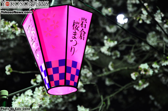 20120507.04.IwakuraSakura_DSC0425.jpg