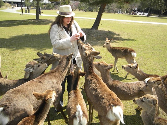 20110326.02.nara.JPG