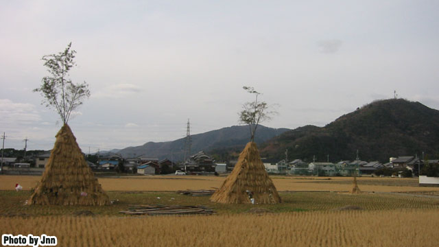 20110111.02.dondo.jpg