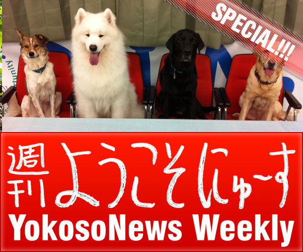 YokosoNews Weekly Special Pets in Japan YokosoNews